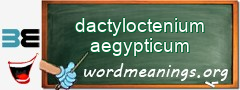 WordMeaning blackboard for dactyloctenium aegypticum